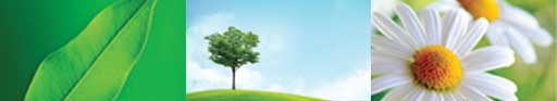 Environment Environment